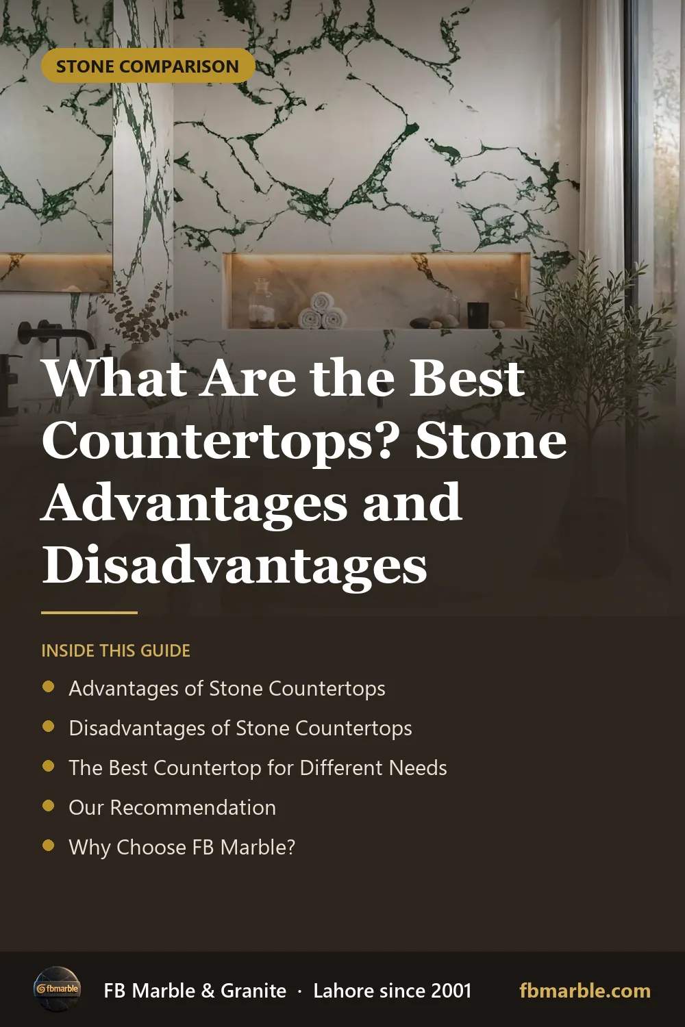 Pinterest graphic: What Are the Best Countertops? Stone Advantages and Disadvantages – FB Marble guide