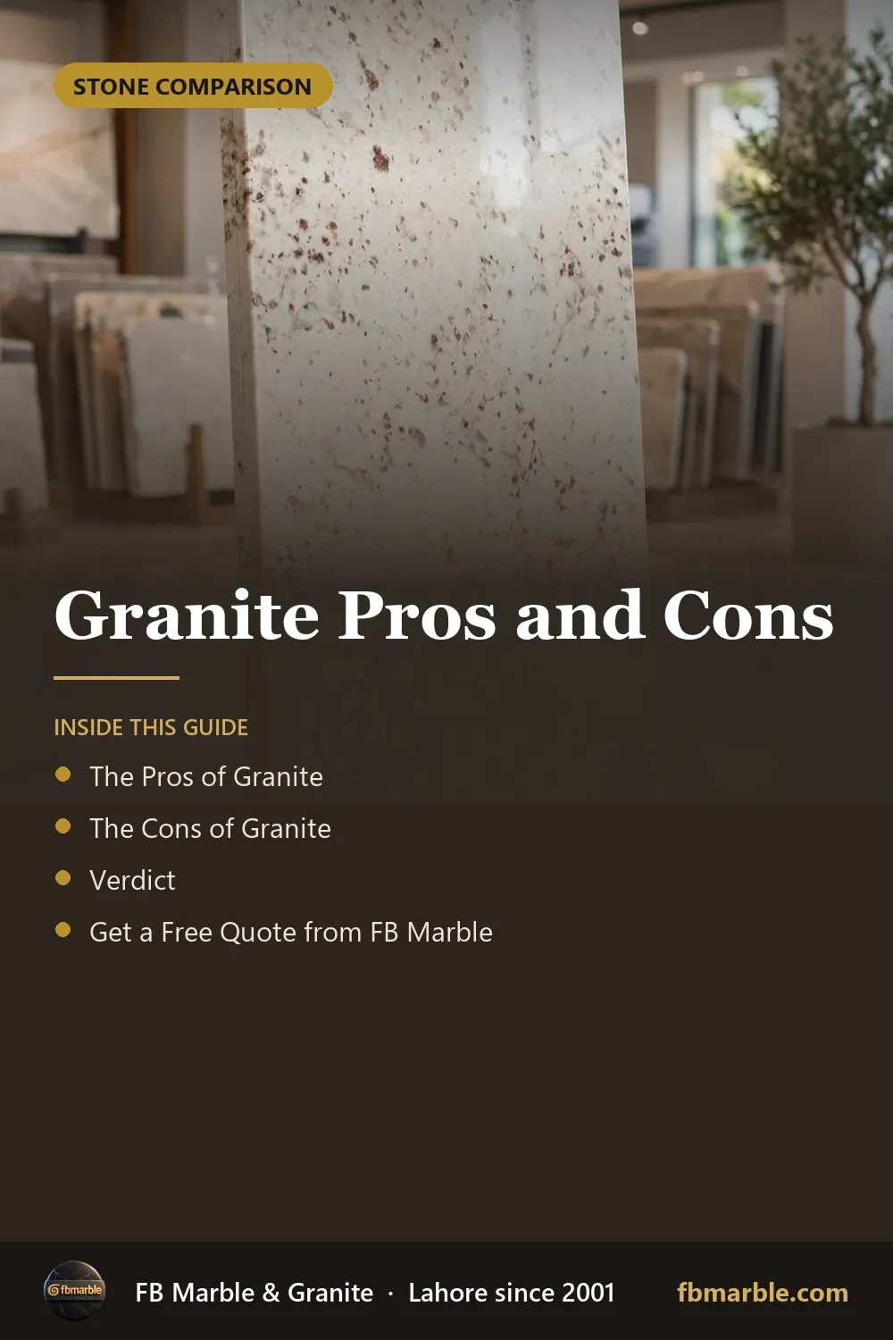 Pinterest graphic: Granite Pros and Cons – FB Marble guide