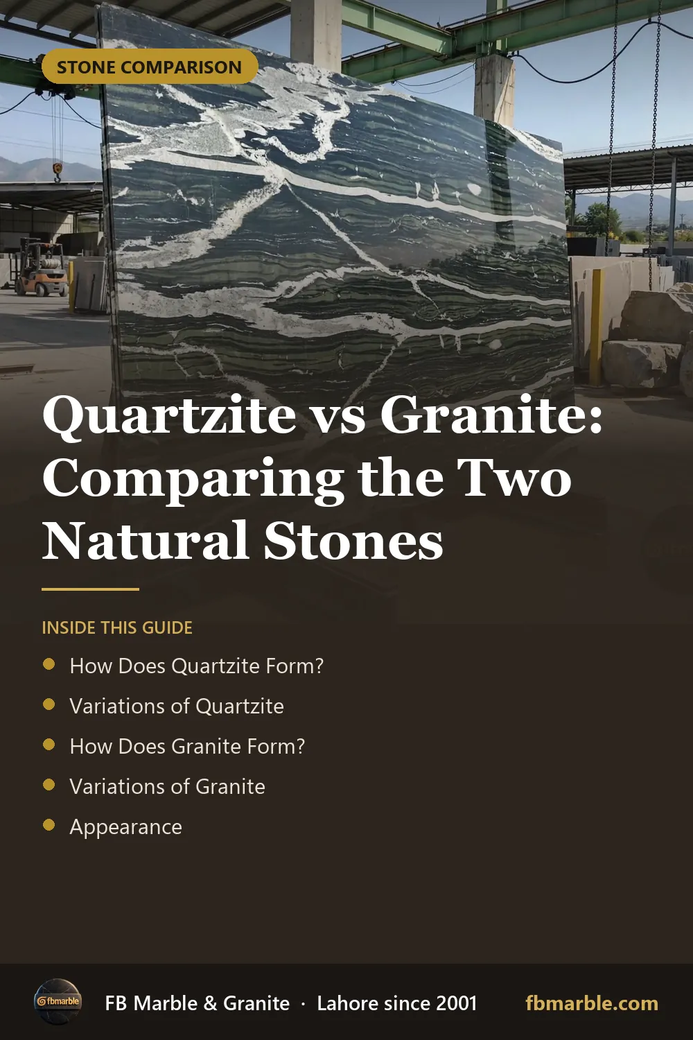 Pinterest graphic: Quartzite vs Granite: Comparing the Two Natural Stones – FB Marble guide