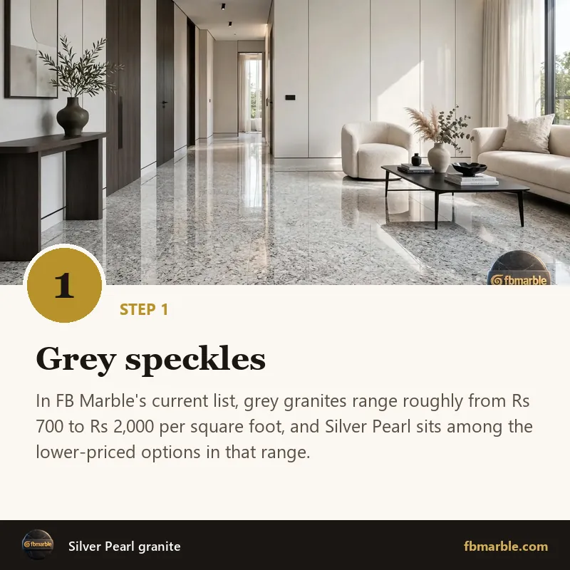 Step 1: Grey speckles – Silver Pearl granite