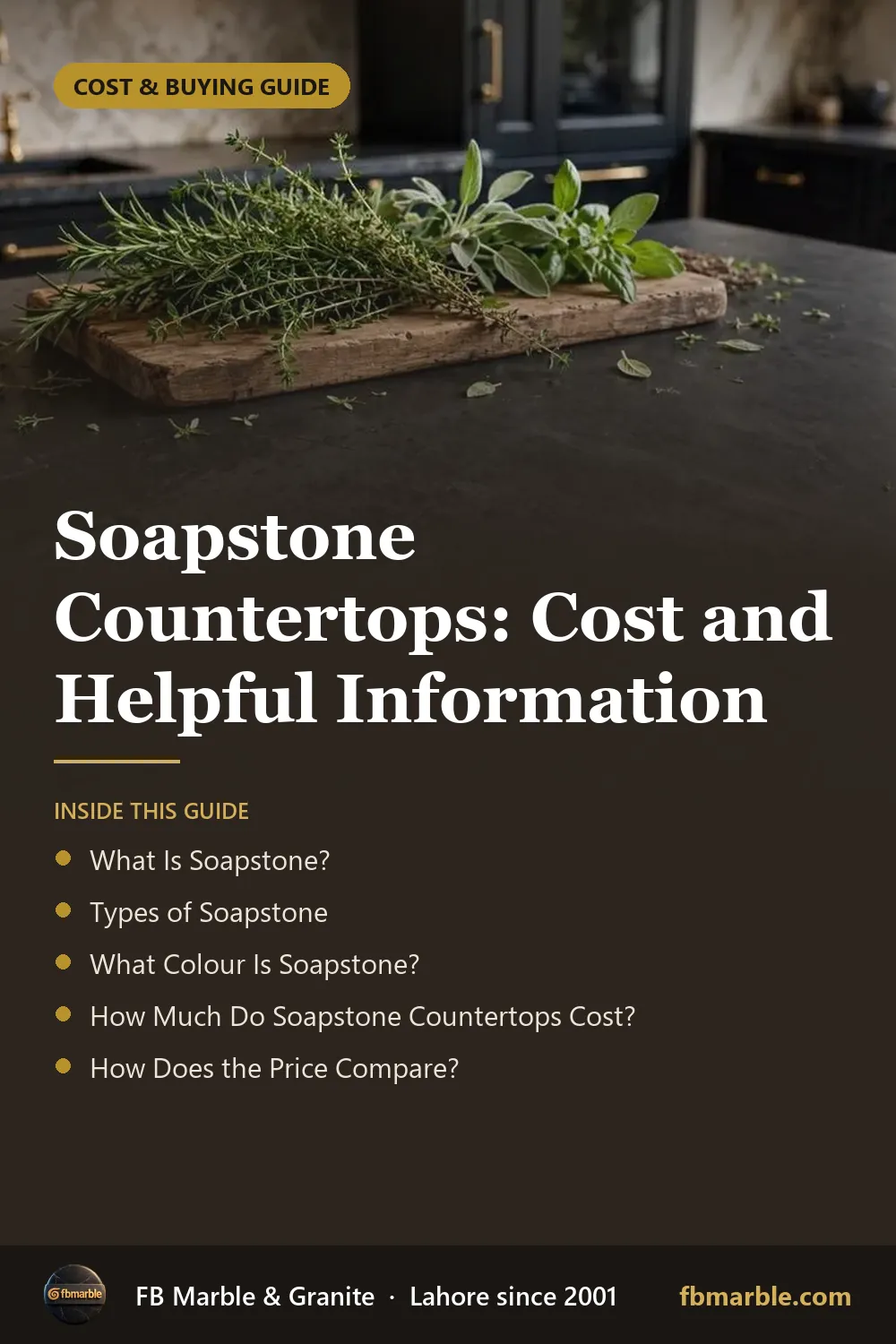 Pinterest graphic: Soapstone Countertops: Cost and Helpful Information – FB Marble guide
