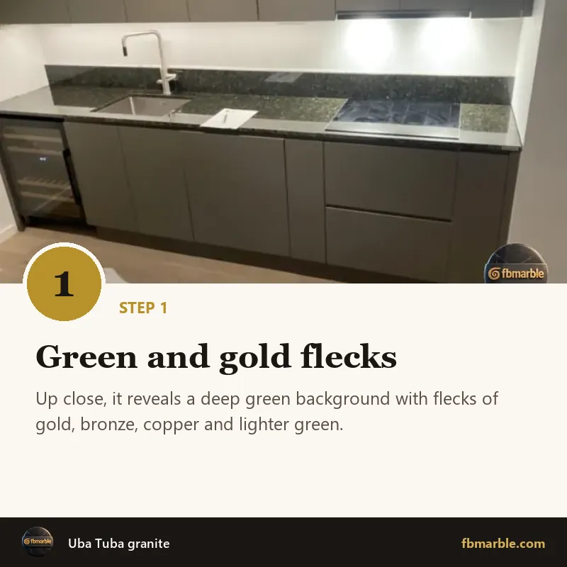 Step 1: Green and gold flecks – Uba Tuba granite