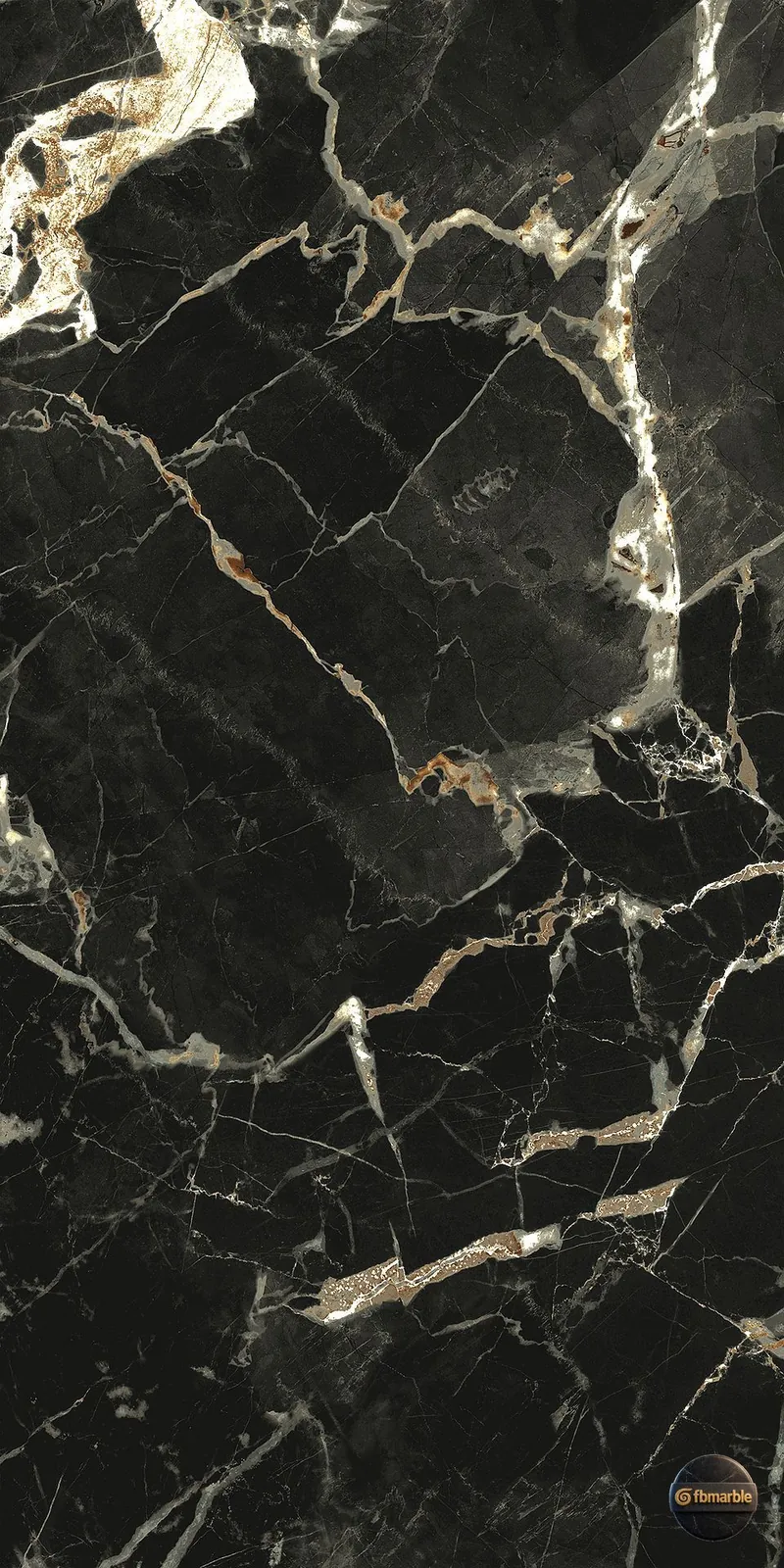 Black and Gold Marble photo 3 β jet-black Pakistani marble with bold gold veining