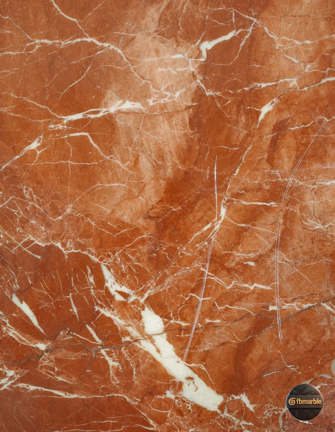 Rosso Verona Marble photo 3 β Italian red marble with fossil and shell patterns