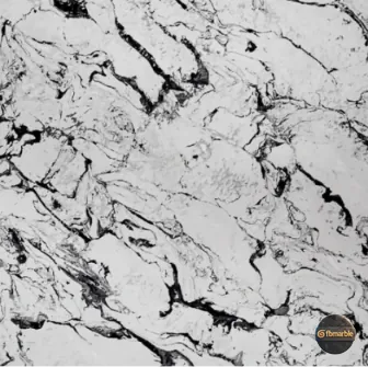 Drill Black Quartz β white quartz with flowing black swirl veins, 18mm polished slab